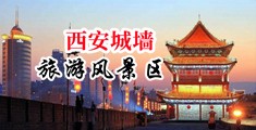 淫荡骚逼中国陕西-西安城墙旅游风景区